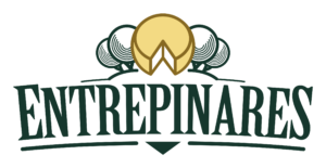 Logo 16